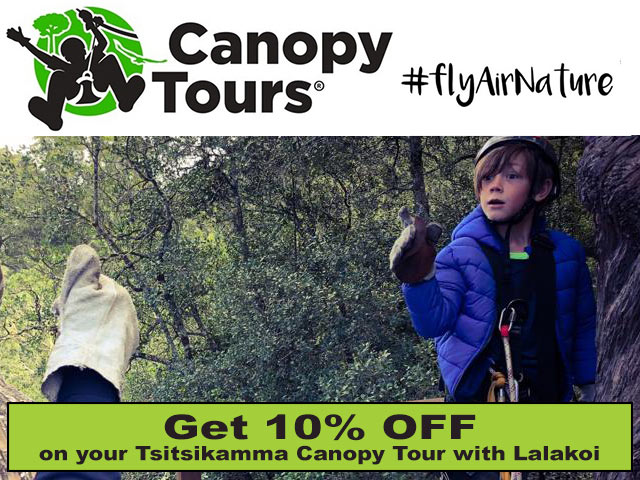 Get Discount on Your Tsitsikamma Canopy Tour